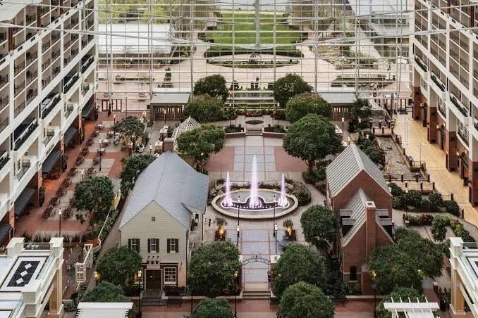 gaylord-ezgif.com-webp-to-jpg-converter